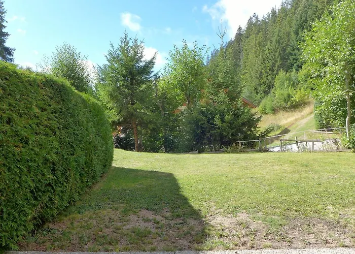 Le Torrent 1 By Interhome *